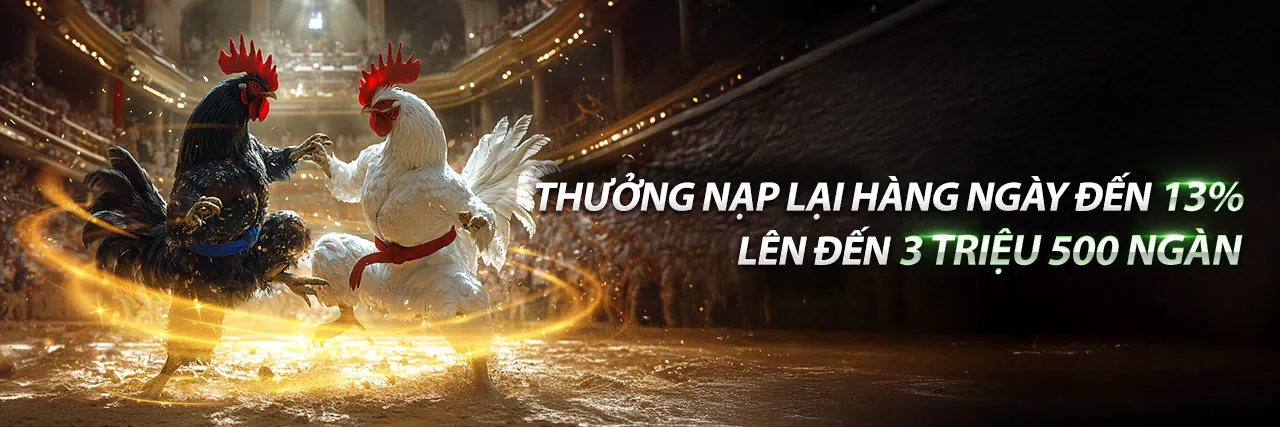Sảnh Đá Gà Trực Tuyến kinh88 chính thức